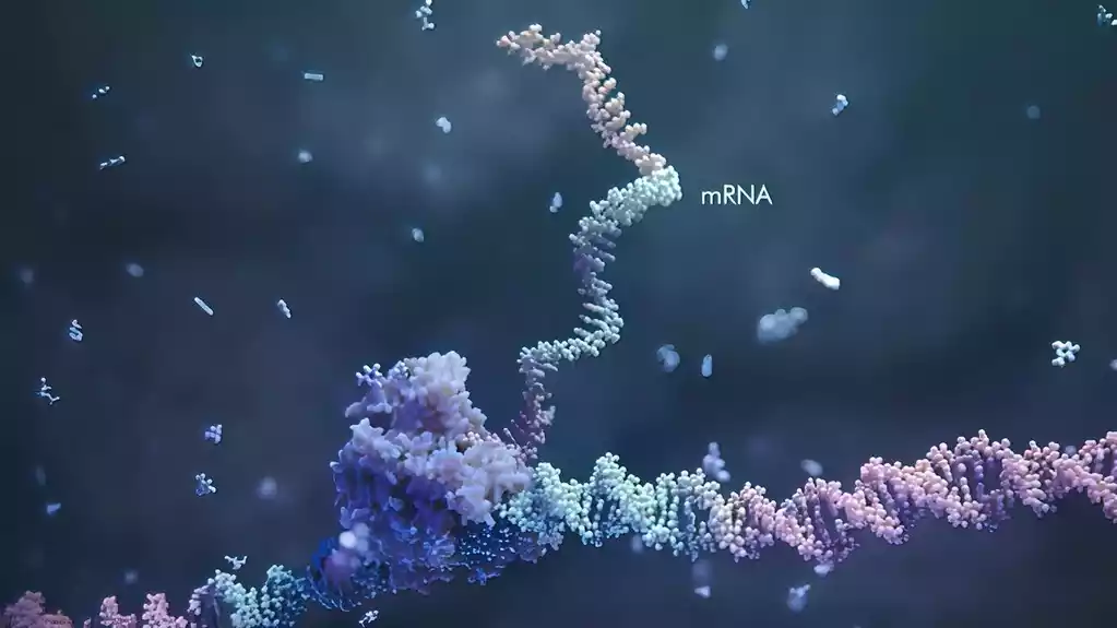 Istraživači otkrivaju molekul RNK koji bi mogao da se koristi kao terapeutska meta protiv ćelija raka