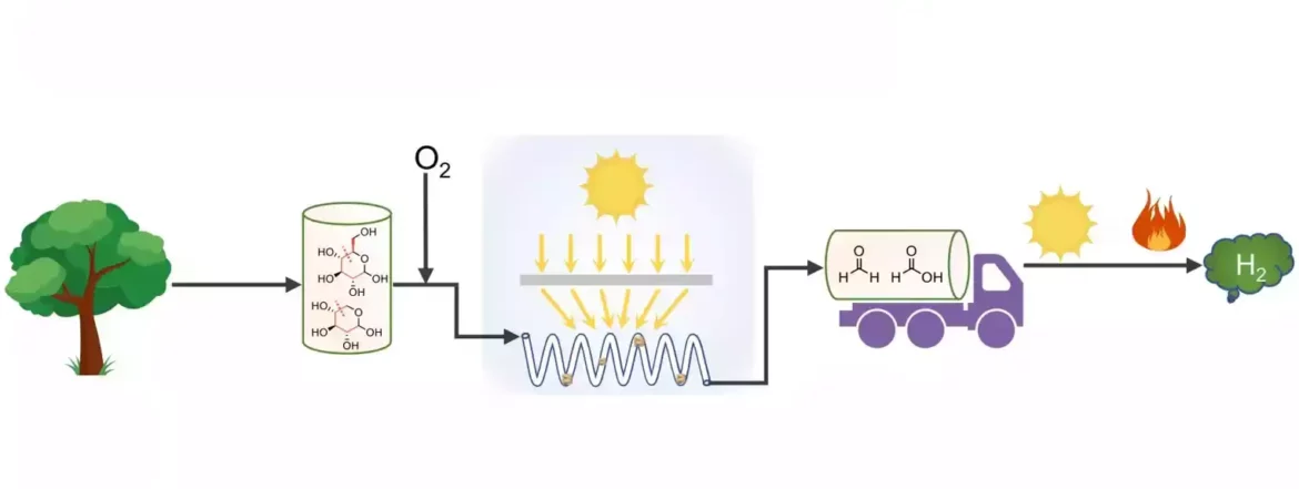 Nova strategija omogućava postepenu foto-potpomognutu razgradnju ugljenih hidrata do vodonika