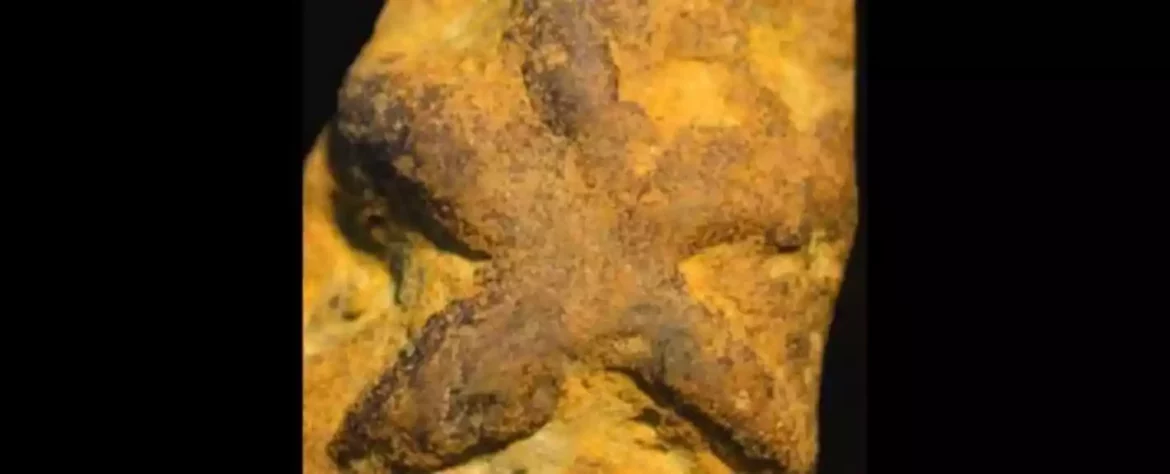 Istraživači nude novo objašnjenje za čudni drevni ‘fosil’