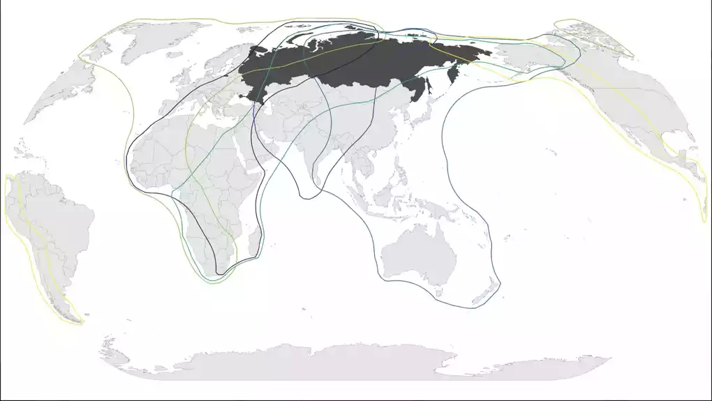 Rat Rusije i Ukrajine ima globalni uticaj na istraživanje očuvanja biodiverziteta