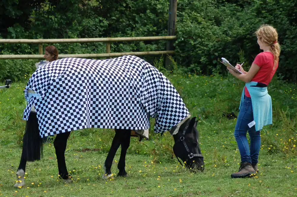 Kako pruge sprečavaju napade konjskih muha na zebre