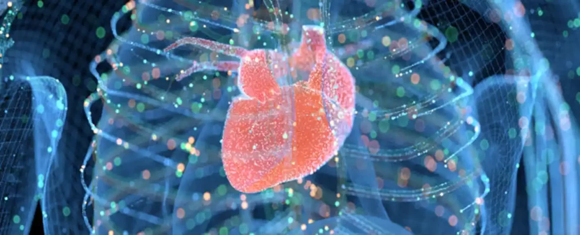 Transplantacija gena mogla bi da podmladi srce za 2 godine