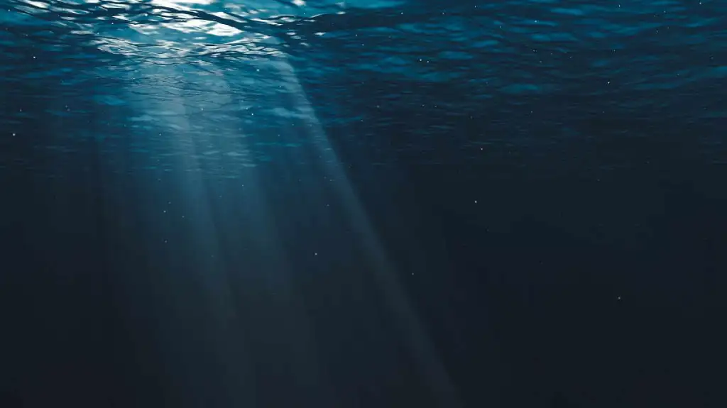 Dubokomorski crni ugljenik dolazi iz hidrotermalnih izvora