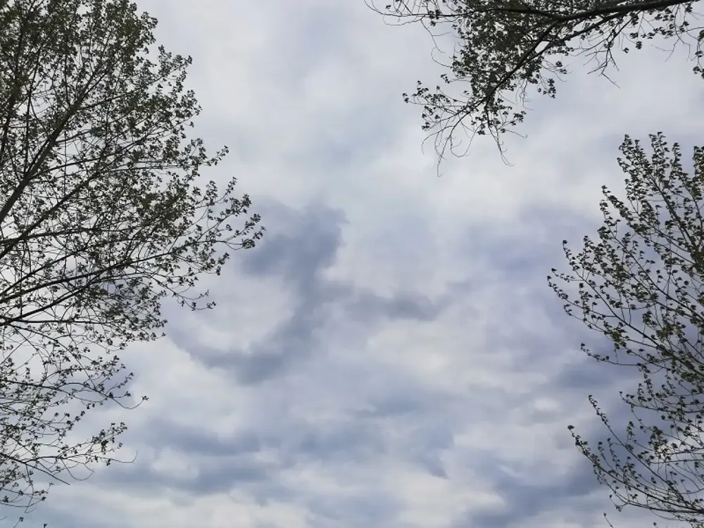 Sutra oblačno i toplo, temperatura do 20 stepeni