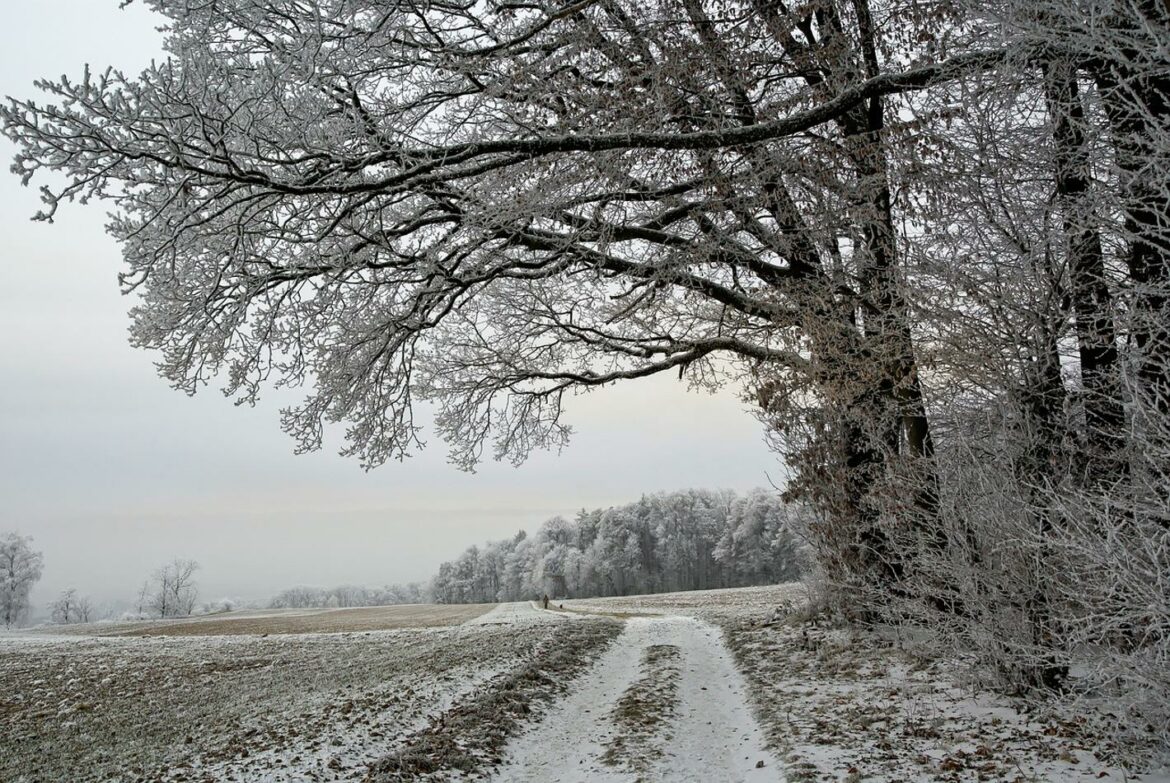 Danas oblačno sa slabim snegom, na severu razvedravanje – temperatura do 1 stepen