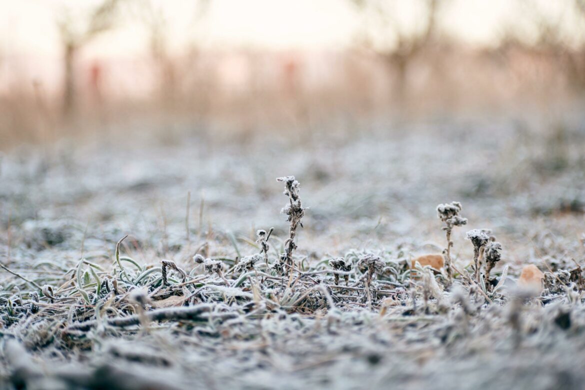 Sutra ujutru mraz, tokom dana oblačno – temperatura do 2 stepena