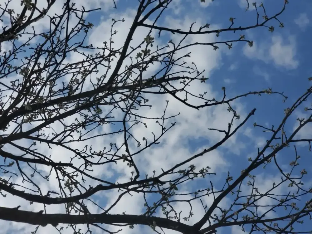 Danas pretežno oblačno i malo hladnije, temperatura do 16 stepeni