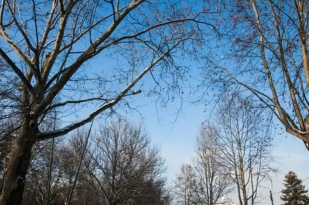 Danas sunčano i toplo, temperatura do 21 stepen