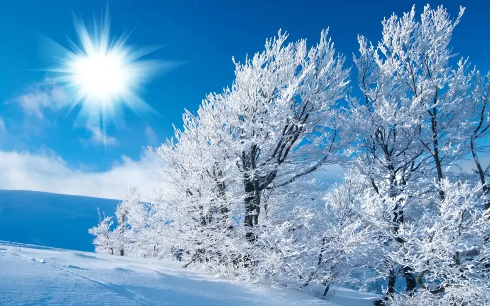 Do kraja dana pretežno sunčano i hladno, temperatura do 5 stepeni