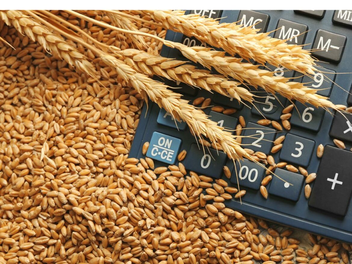 Novosadska berza: Cena pšenice 20 dinara, kukuruza 18,17 dinara