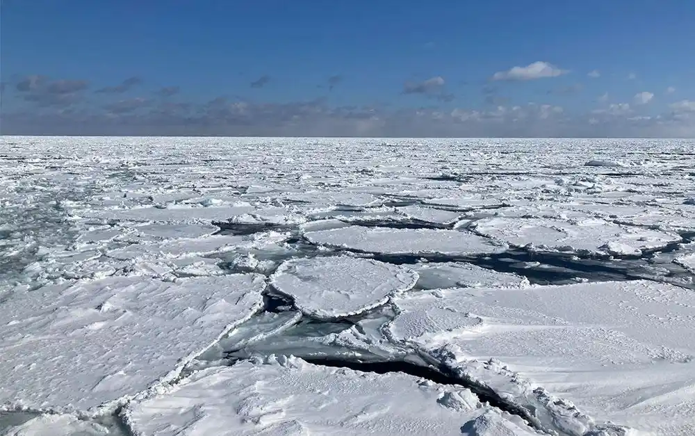 Promene u ledu vezane su za interakcije okeana i atmosfere