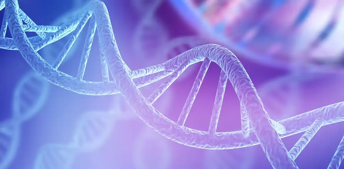 Pogrešno postavljena DNK može uticati na rizik od bolesti
