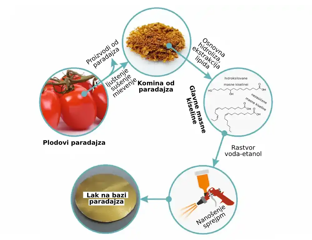 Lakovi na bazi paradajza za premazivanje unutrašnjosti limenki i ambalaže za hranu