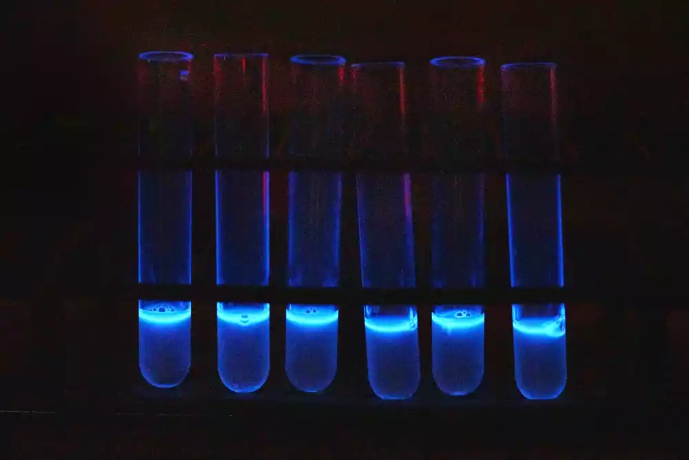 Novi test ubrzava proces testiranja na E. coli