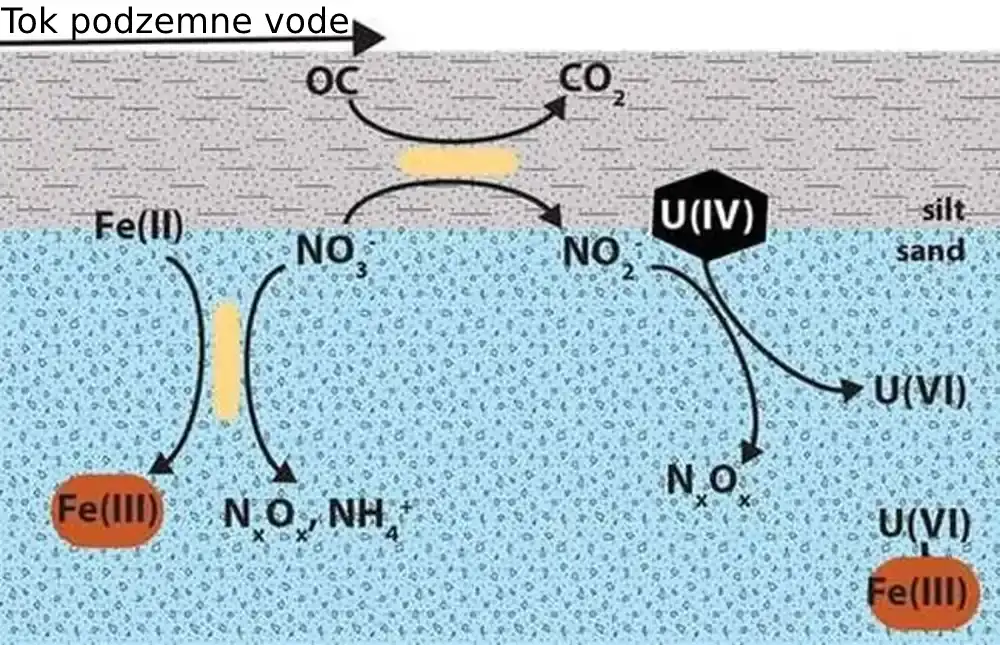 Nitrati mogu osloboditi uranijum u podzemne vode