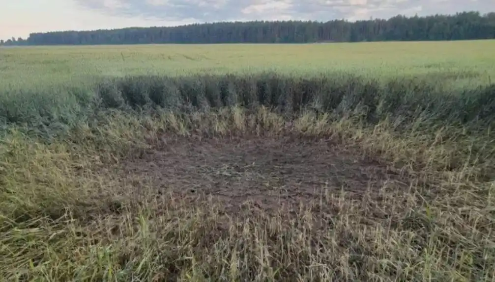 Ukrajina: 20% poljoprivrednog zemljišta ostaje nezasijano zbog rata