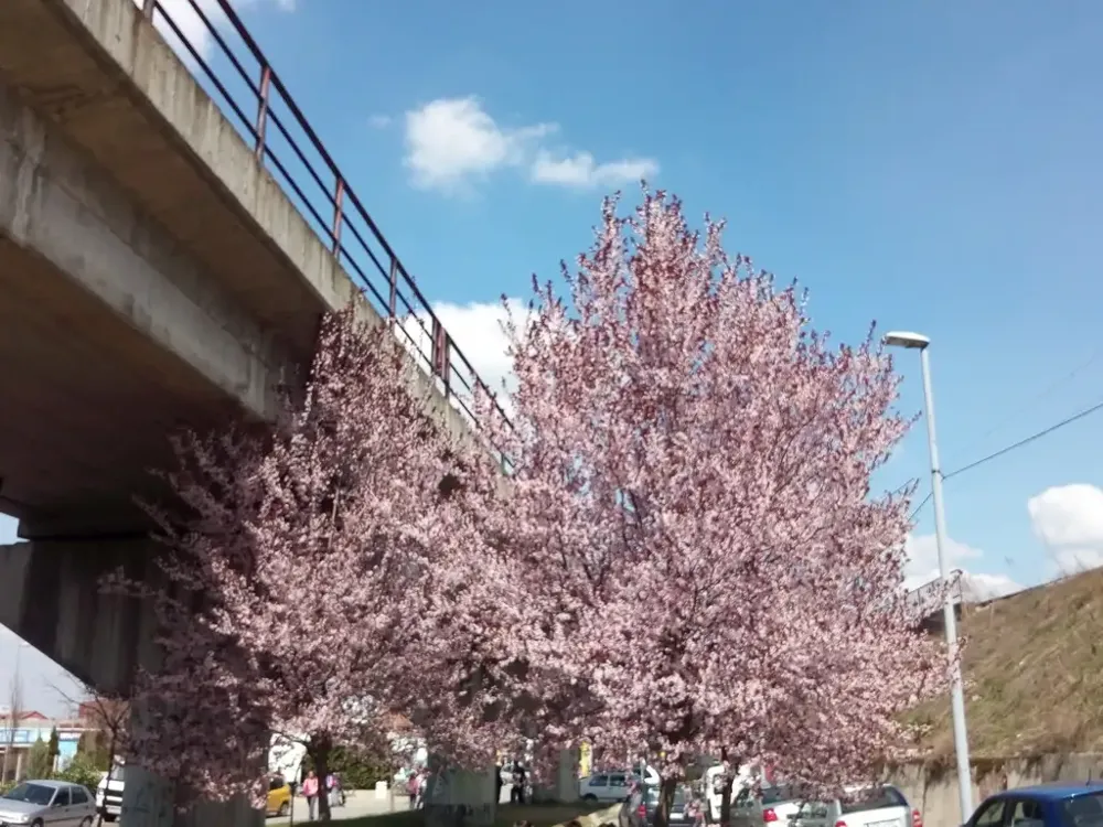 Sutra ujutru mraz, tokom dana sunčano – temperatura do 17 stepeni