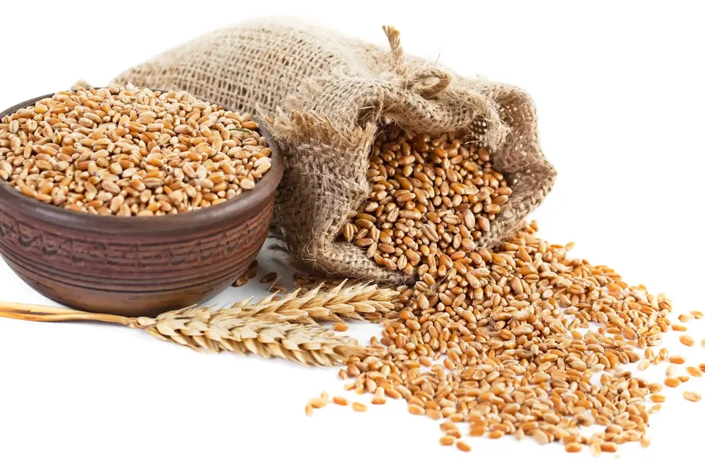 Novosadska berza: Cena pšenice 26,29 dinara, a kukuruza 26,17 dinara