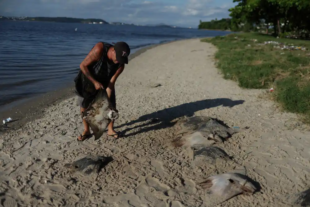 Desetine mrtvih raža pronađeno na brazilskoj plaži