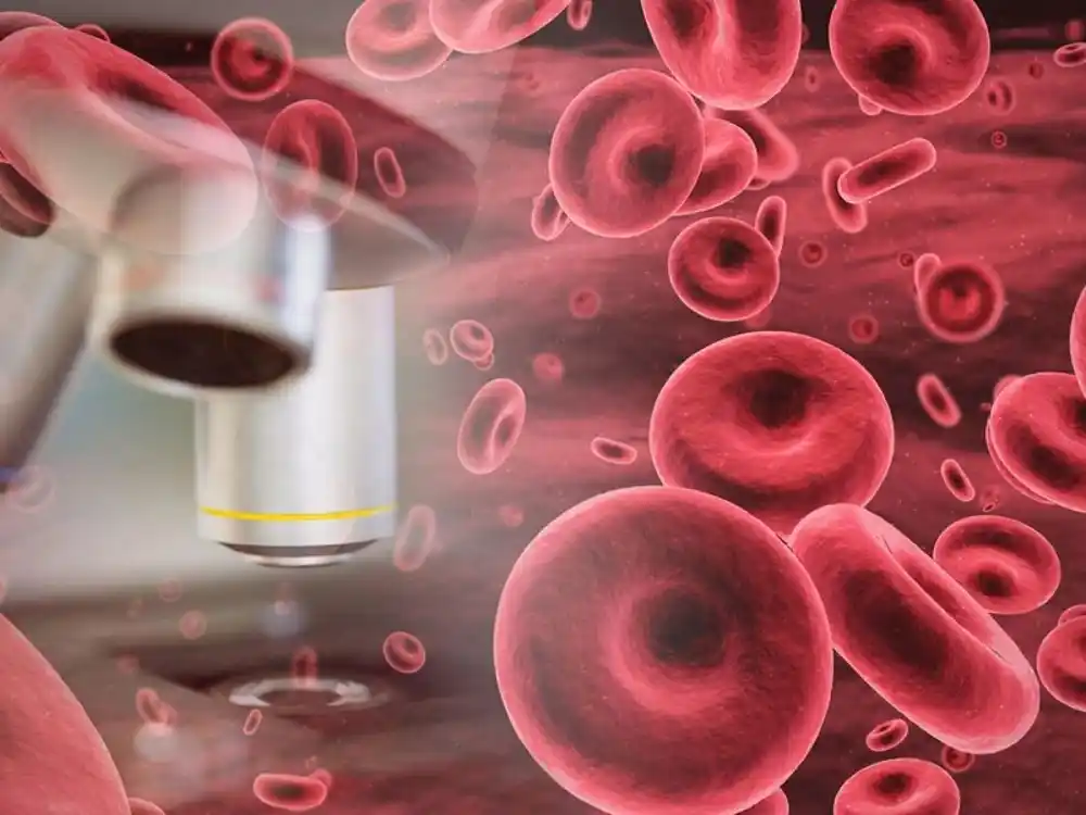 Biomolekularni atlas za koštanu srž nudi prozor bez presedana u proizvodnju krvi