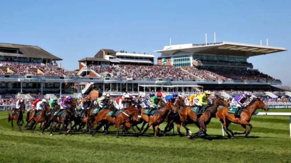 Više od 100 uhapšeno dok aktivisti odlažu Grand National