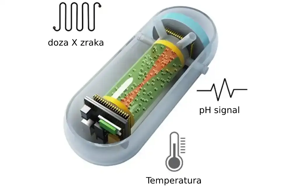 Istraživači razvili dozimetar rendgenskih zraka u kapsuli za praćenje u realnom vremenu