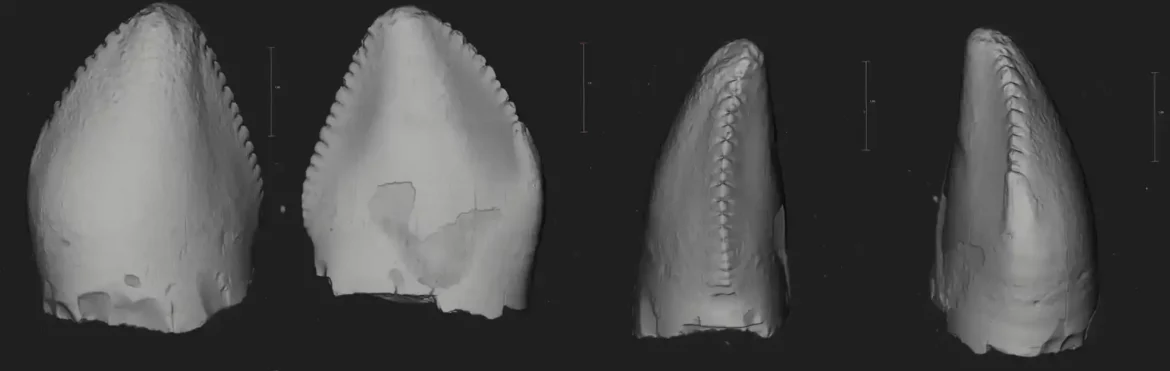 Mašinsko učenje identifikuje prvi britanski fosil dinosaurusa terizinosaurusa