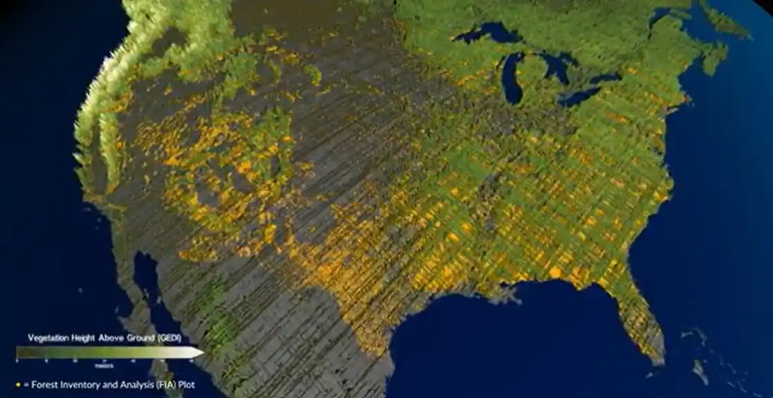 NASA se udružuje sa US Forest Service da izbroji najstarija drveća u Americi