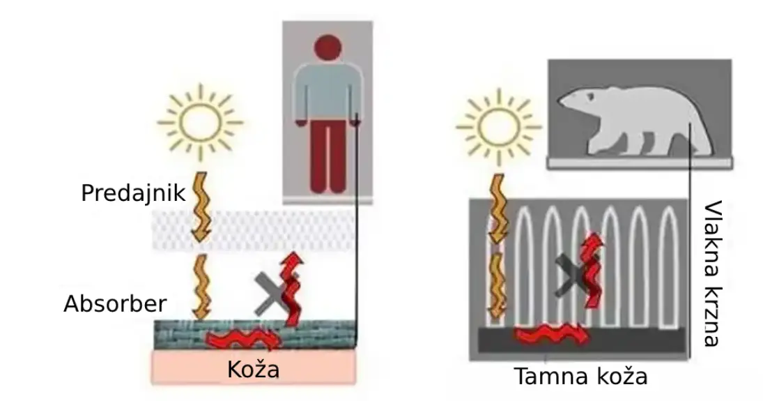 Novi tekstil otkriva tajne krzna polarnog medveda