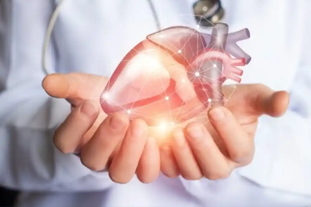 Proteini mogu biti ključni za toleranciju na transplantaciju srca