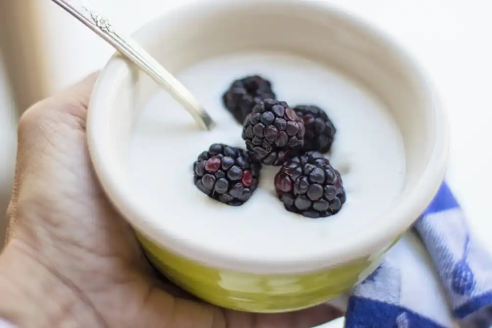 Punomasni jogurt pomaže u snižavanju nivoa glukoze kod ljudi sa predijabetesom