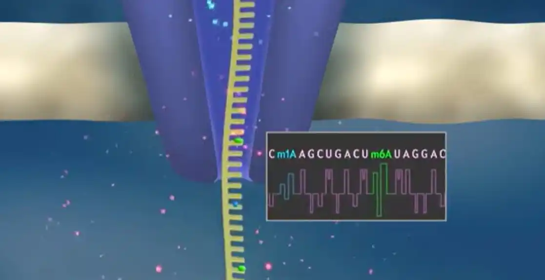 Potencijal tRNA biomarkeri za dijagnozu i prognozu raka