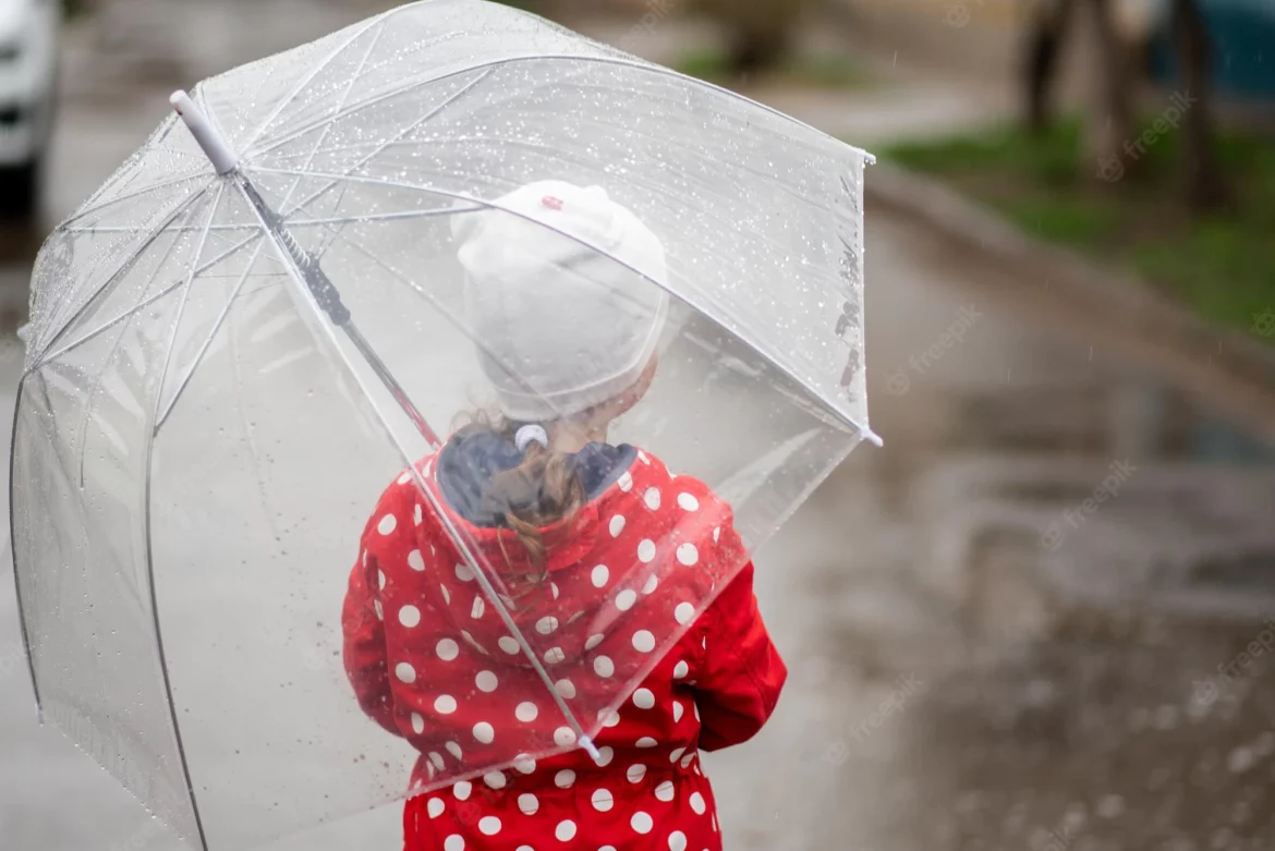 Danas oblačno sa kišom, temperatura do 18 stepeni