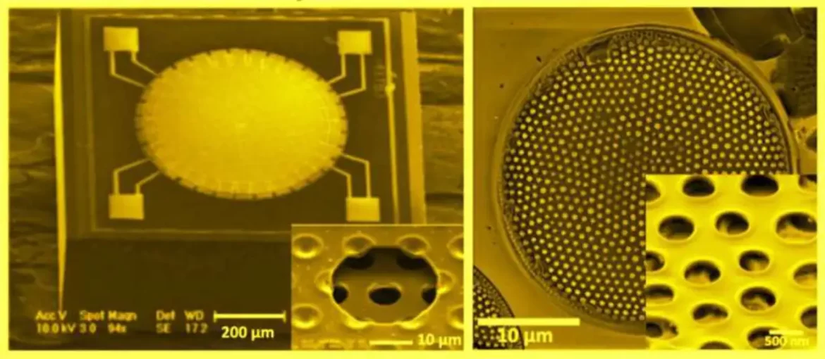 ‘Čipkaste’ staklene školjke dijatomejske alge inspirišu novu tehnologiju