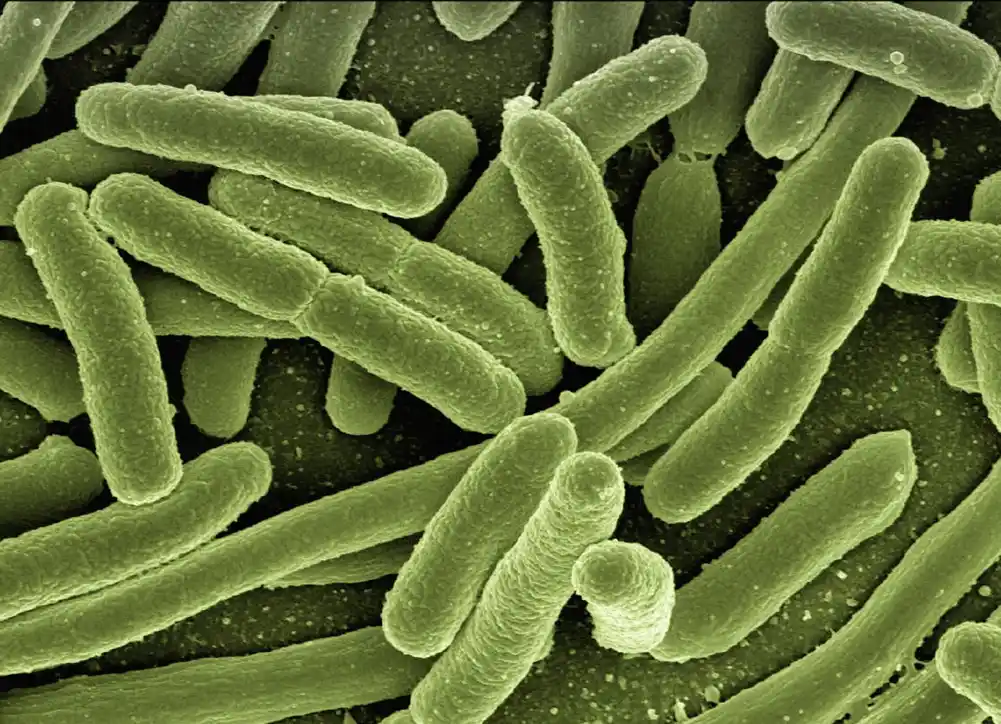 Globalni odgovor na antimikrobnu rezistenciju je „nedovoljan“