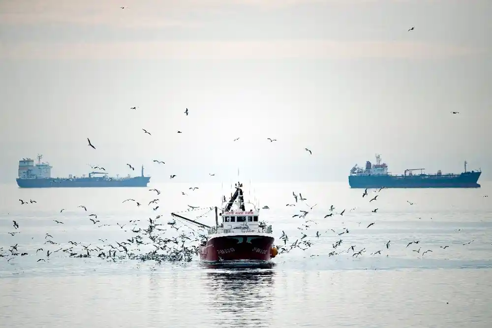 EU želi da pojača praćenje čamaca kako bi se borila protiv prekomernog ribolova