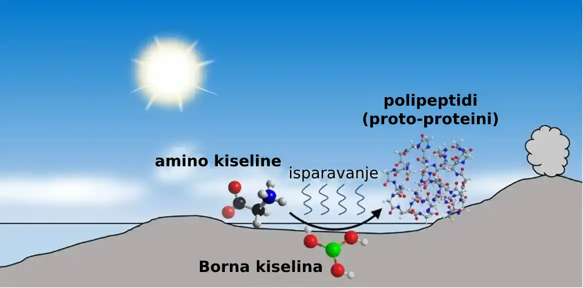 Istraživači otkrivaju kako su se primordijalni proteini formirali na prebiotskoj Zemlji