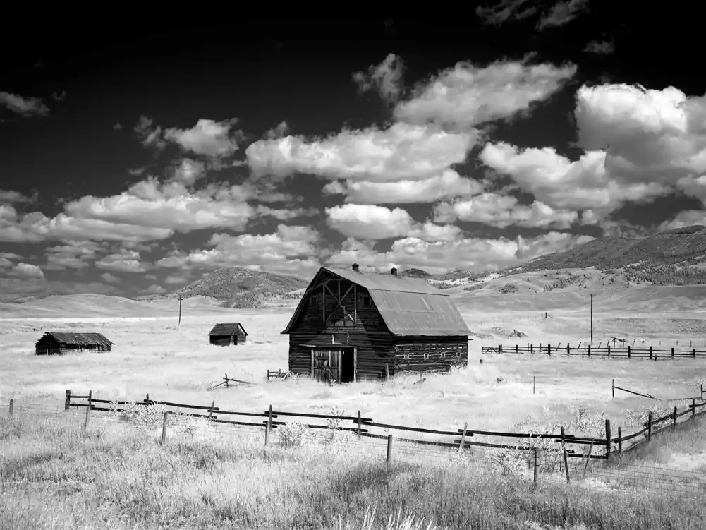 Istraživanje identifikuje ključne zdravstvene izazove ruralne Amerike