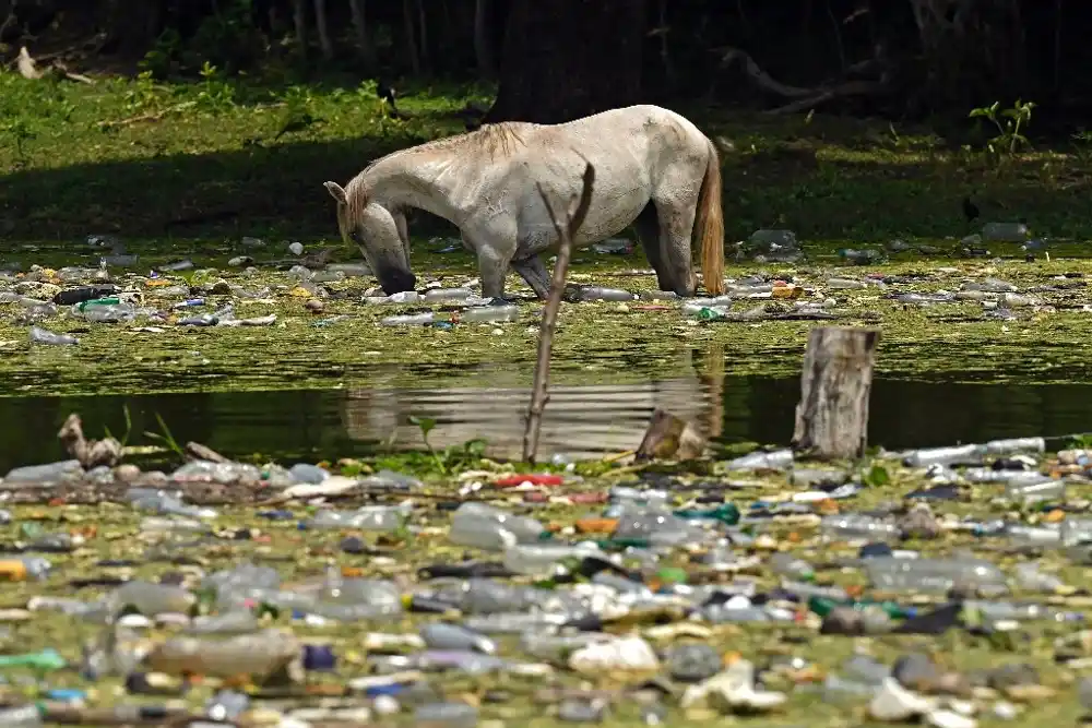 UN: Naredne godine „kritične“ za smanjenje zagađenja plastikom