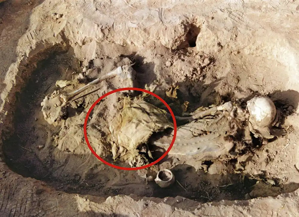 Sedlo otkriveno u Kini možda je najstarije ikada pronađeno