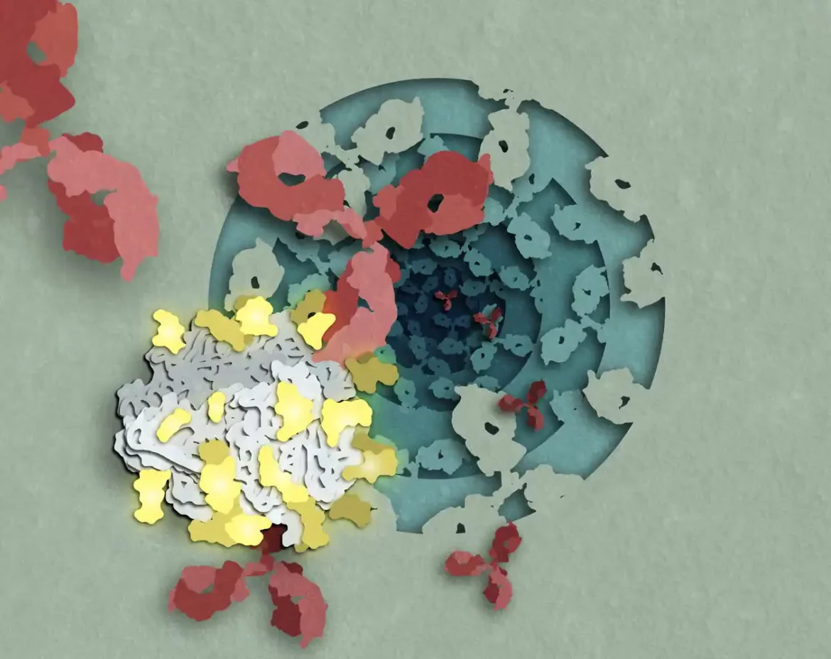 Smrtonosne strukture virusa ukazuju na nove puteve za dizajn vakcine