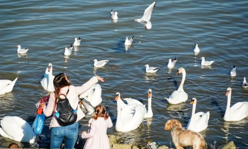 Do kraja dana sunčano, u planinski predelima moguća kiša – temperatura do 26 stepeni