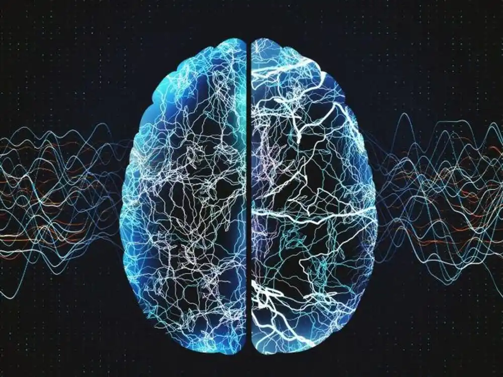 AI model za interpretaciju EEG-a sličan ljudskim stručnjacima