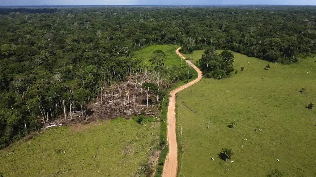 Brazil: Lula izlaže plan za zaustavljanje krčenja šuma Amazona