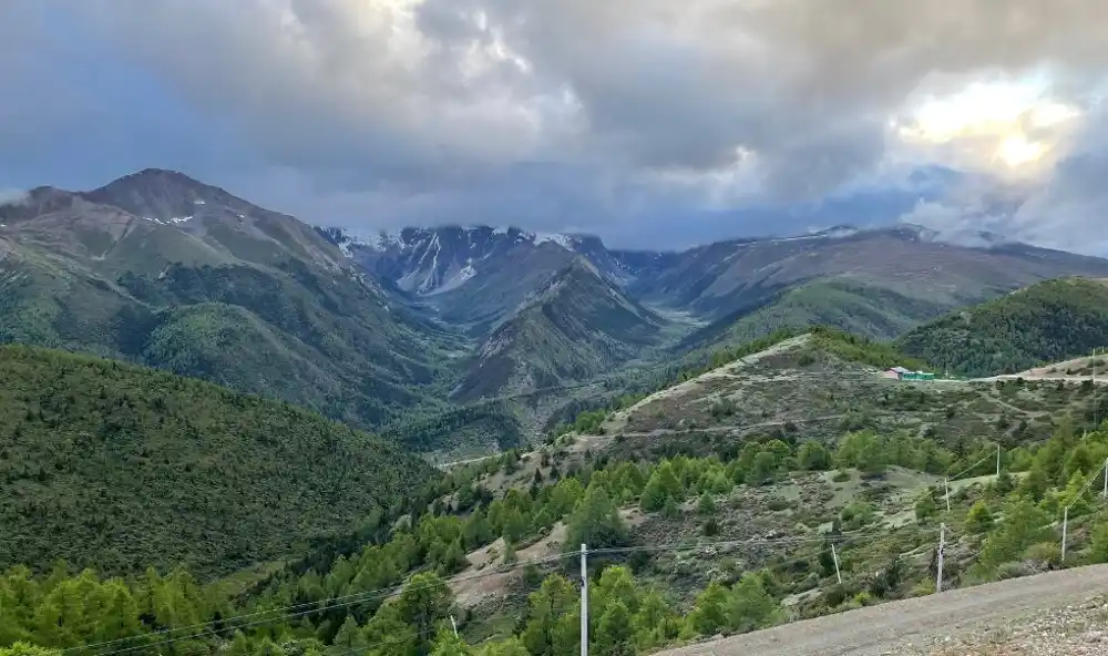 Gljive otporne na lekove uspevaju čak i u najudaljenijim regionima na Zemlji