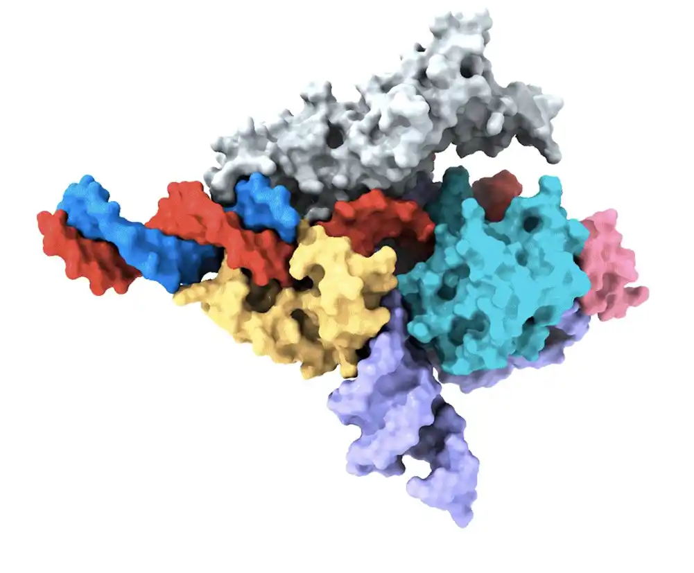 „Uništavanje“ jedinstvenih genetskih karakteristika ćelija raka pomoću CRISPR-Cas3