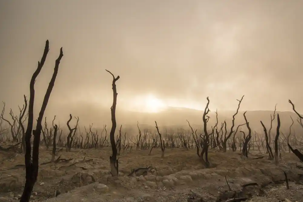 Medijsko izveštavanje o istraživanju klimatskih promena ne inspiriše akciju