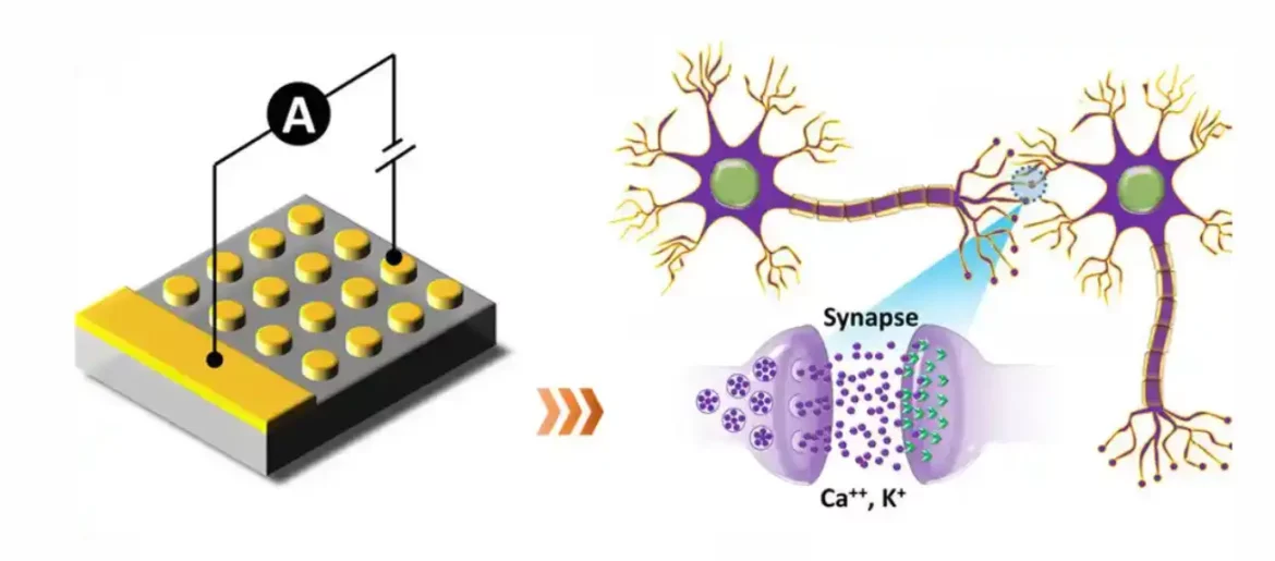 Naučnici dizajniraju veštačke sinapse za neuromorfno računarstvo