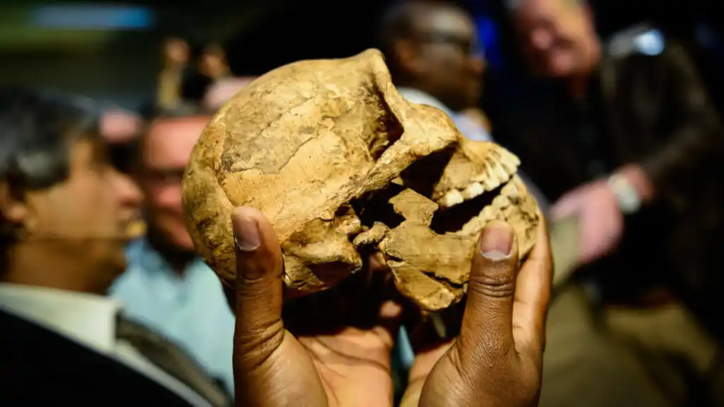 Naučnici su pronašli najstarije poznato groblje na svetu u Africi