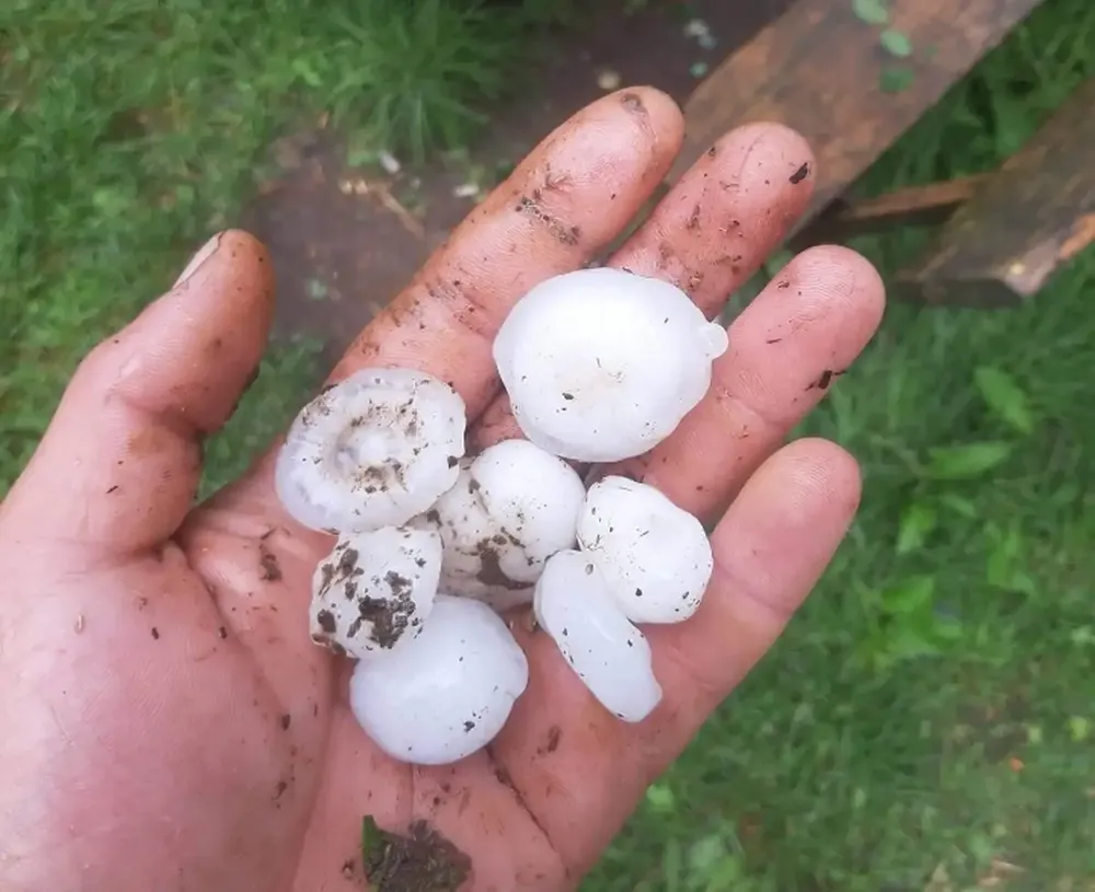 Nevreme u okolini Nove Varoši: Grad veličine oraha padao u selu Ojkovica